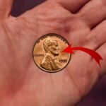 Lincoln Wheat Penny